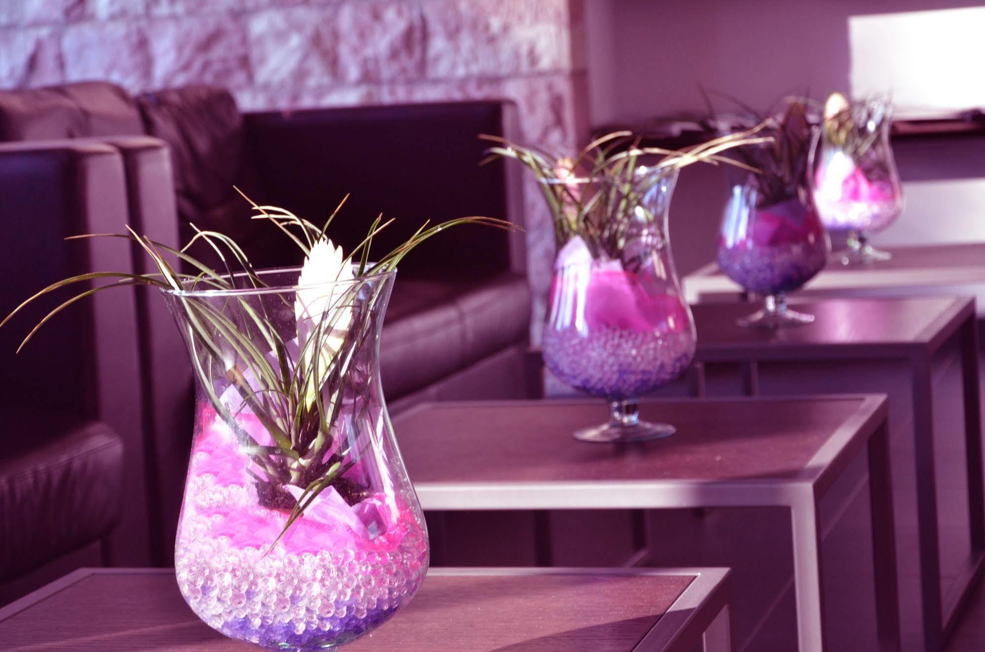 Hotel Th - Cenacolo